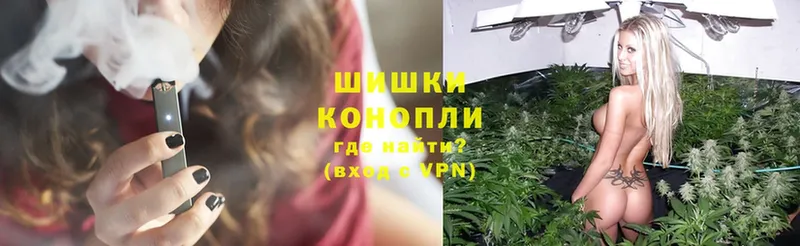 где можно купить наркотик  Бородино  Конопля THC 21% 